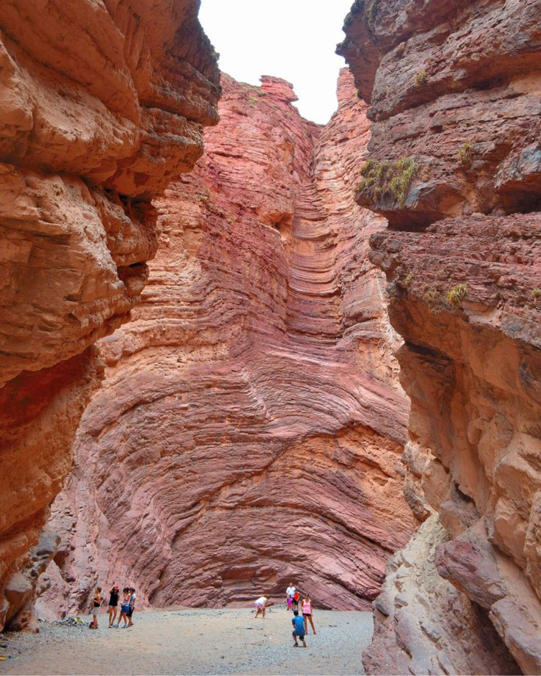 A vivir el Norte Argentino - imagen 3