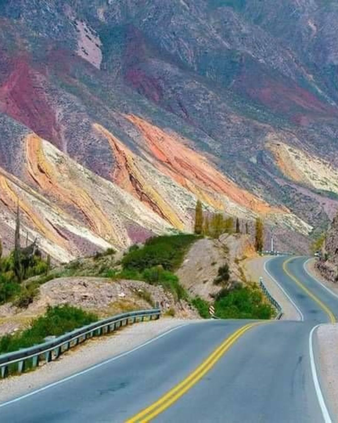 A vivir el Norte Argentino - imagen 4