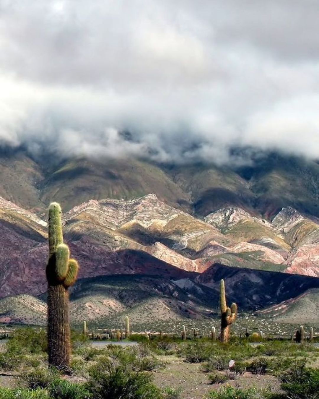 A vivir el Norte Argentino - imagen 5